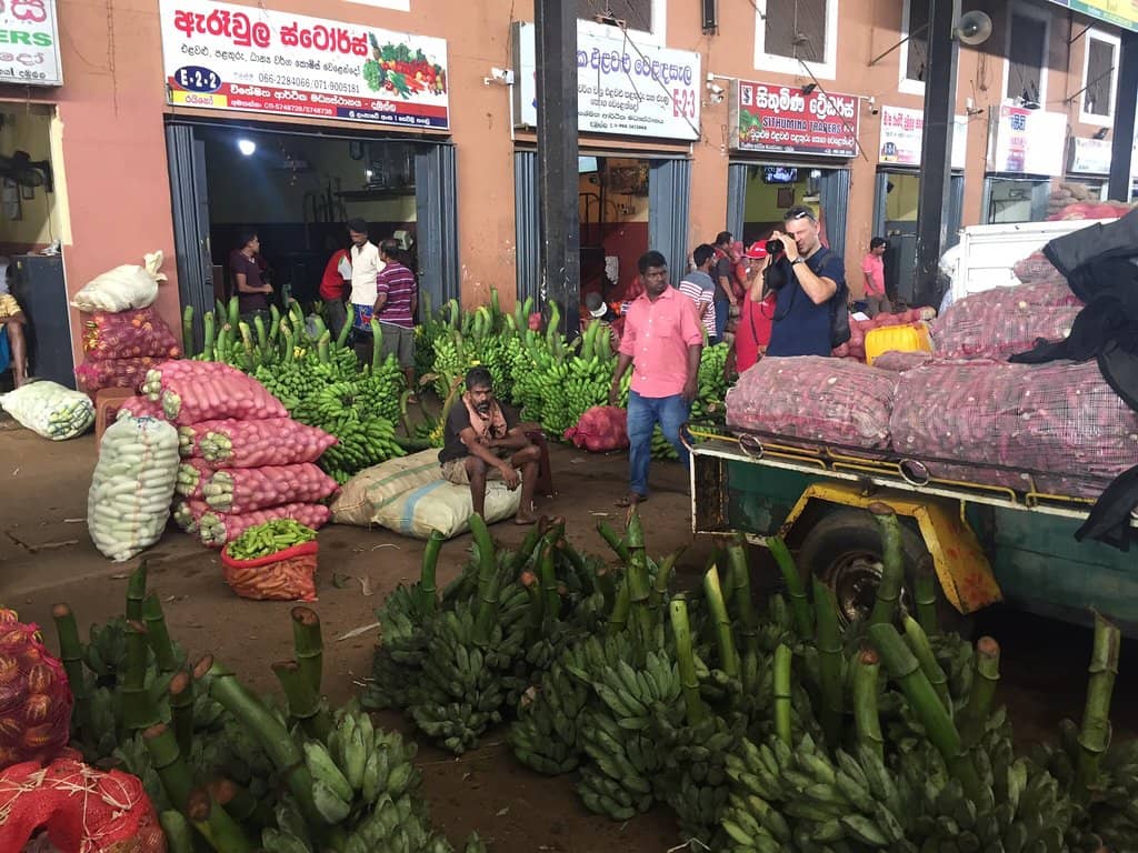 Local Life Unveiled