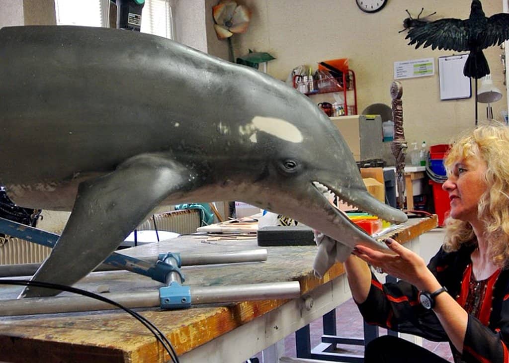 The Art of Filmmaking