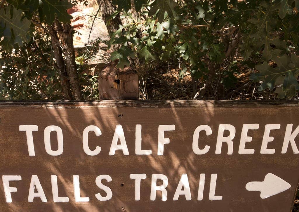 Lower Calf Creek Falls
