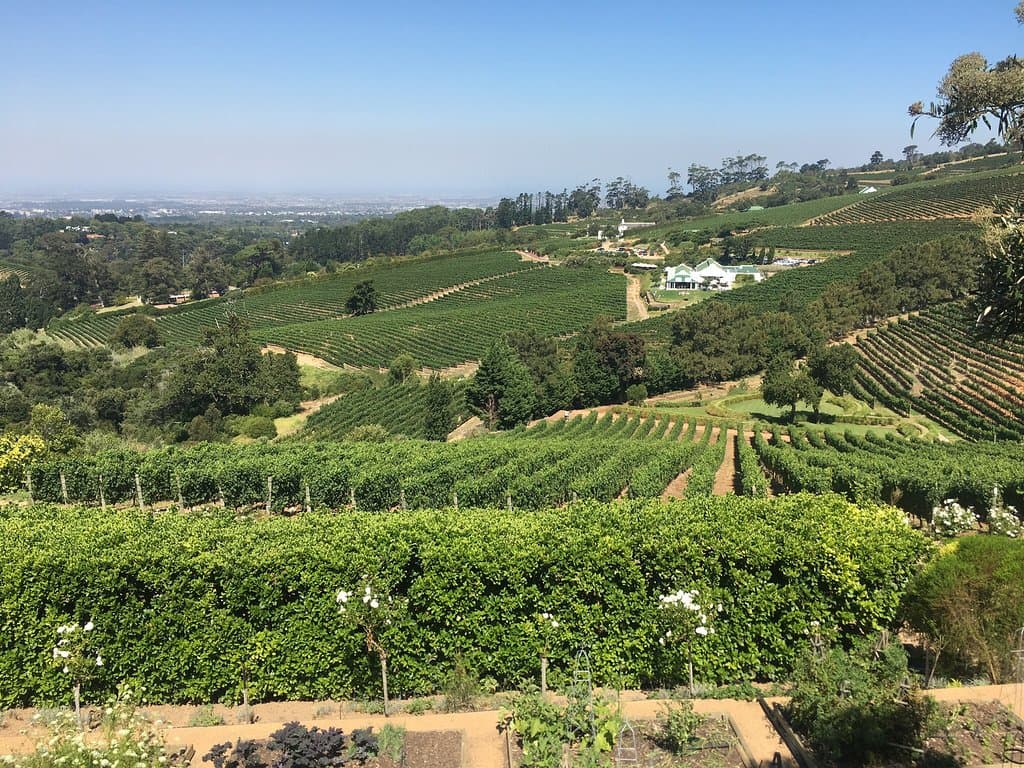 Beau Constantia