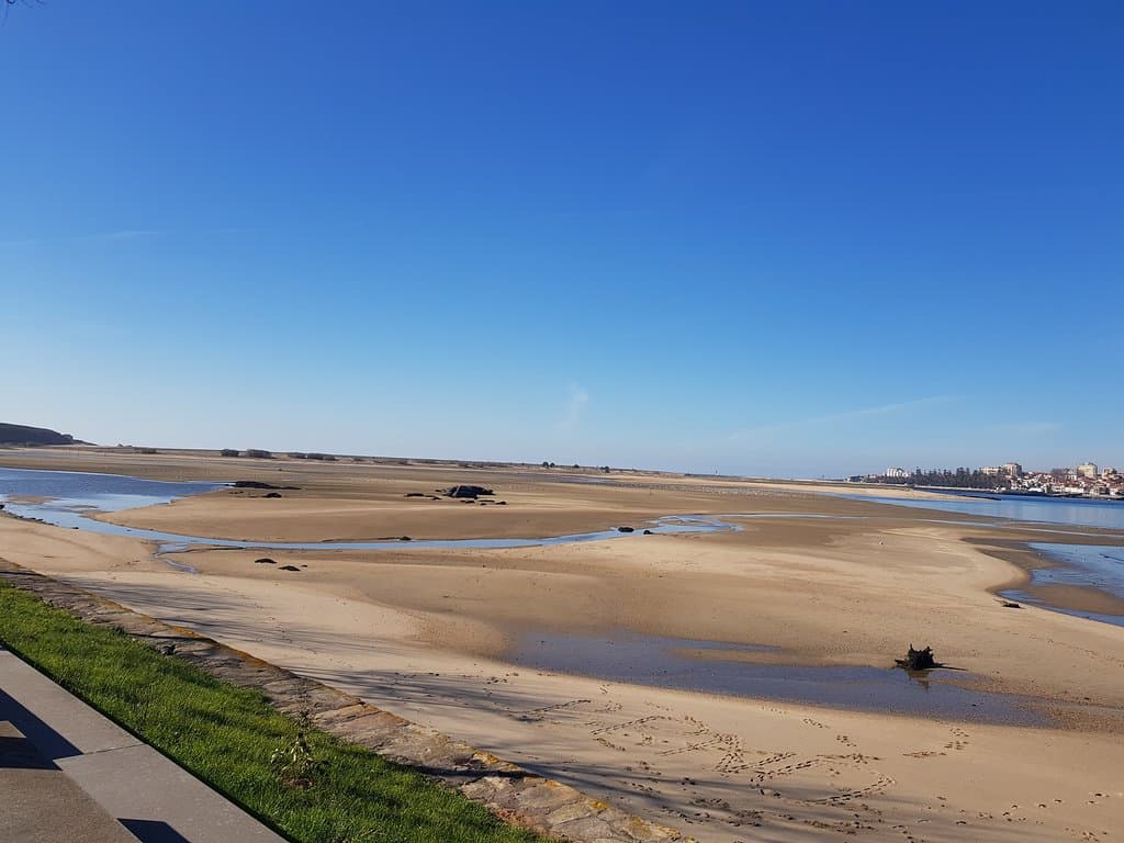 Douro Estuary Nature Reserve