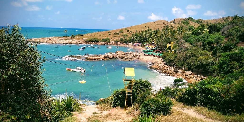 Fresh Seafood Dining