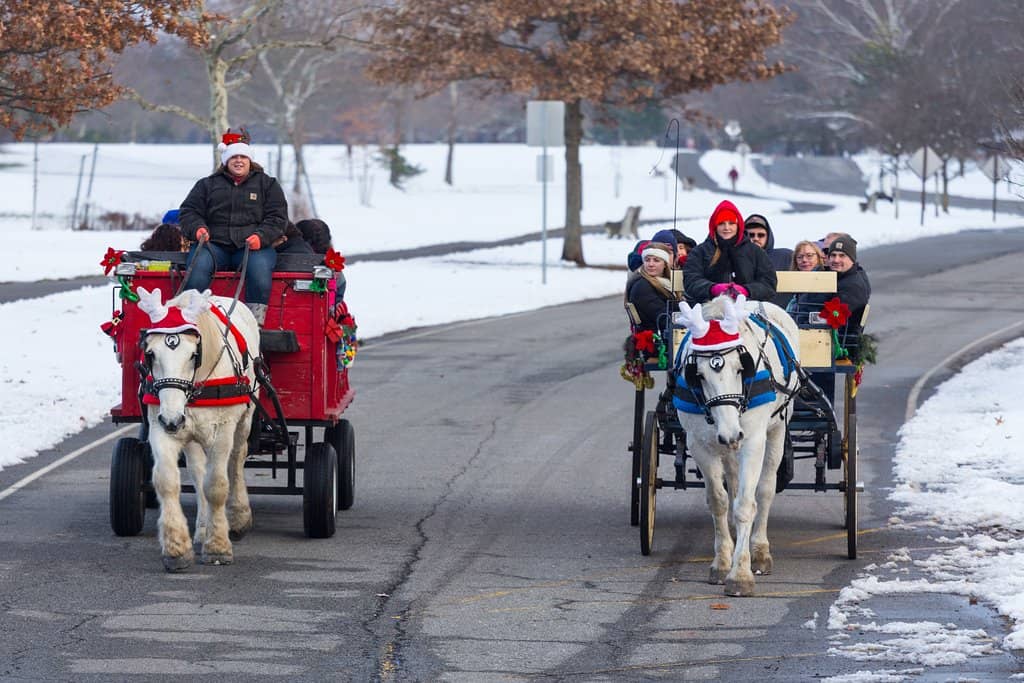 Colonial Herb Garden