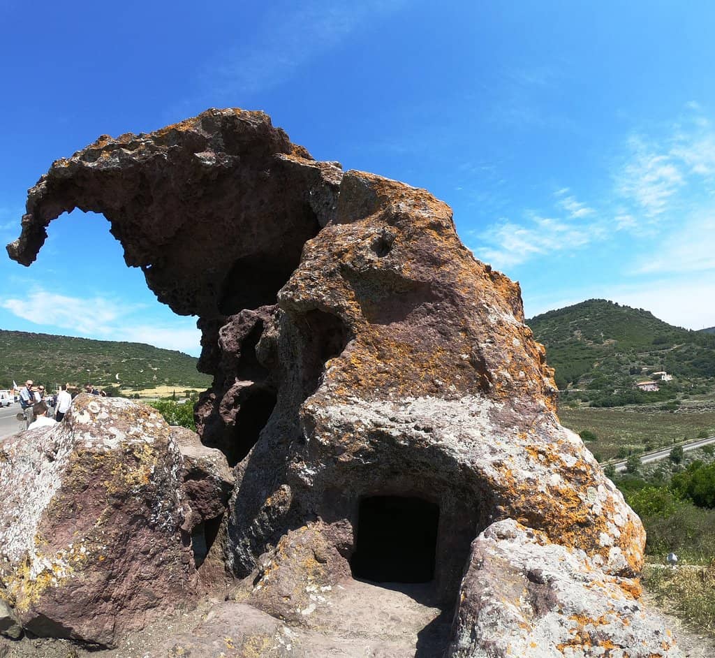 Vertical photo