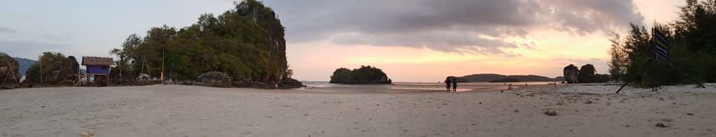 Sand Bubbler Crab Spotting