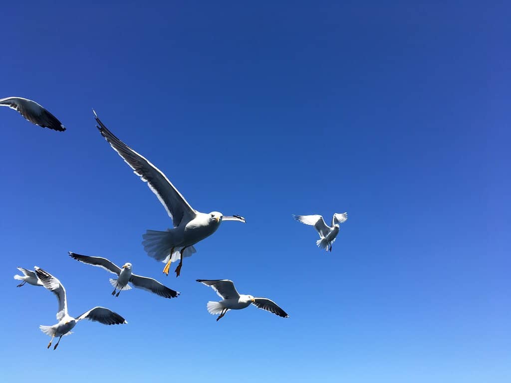 Wadden Sea Aquarium