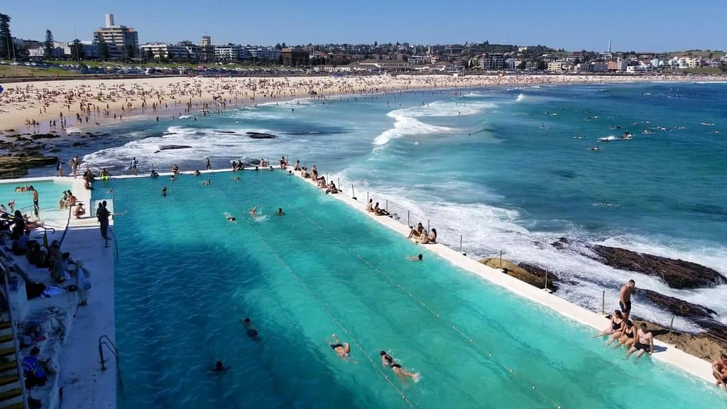 Bondi Icebergs