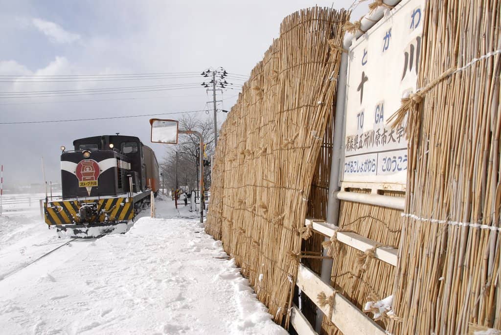 Grilled Squid (Surume)