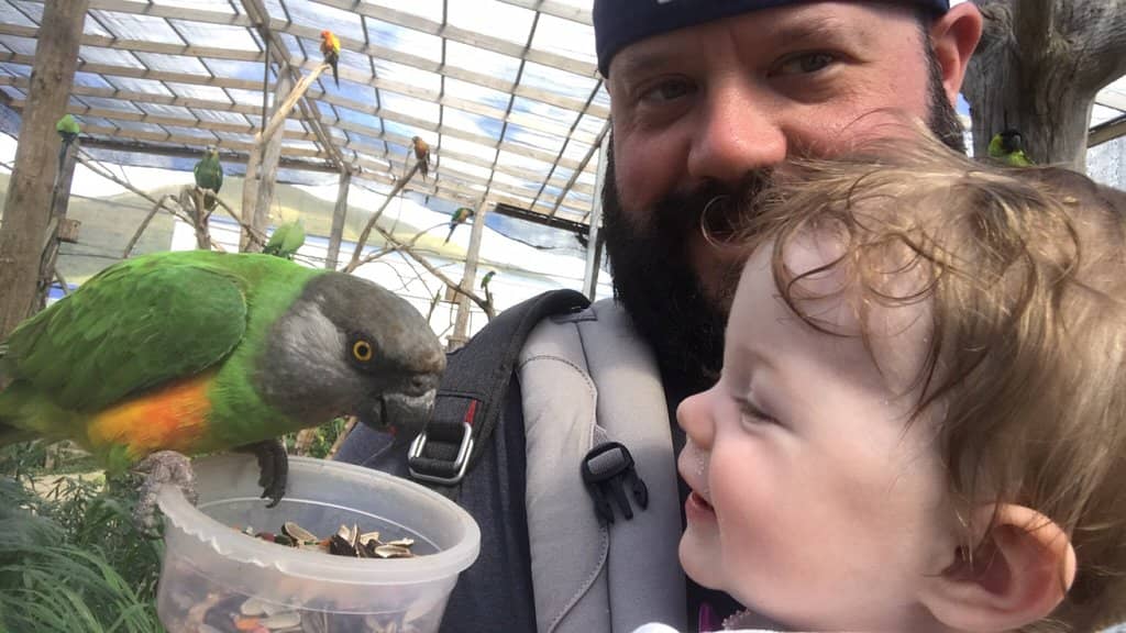 Feathered Friends Up Close