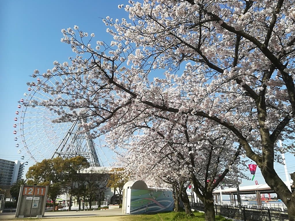 天保山公園