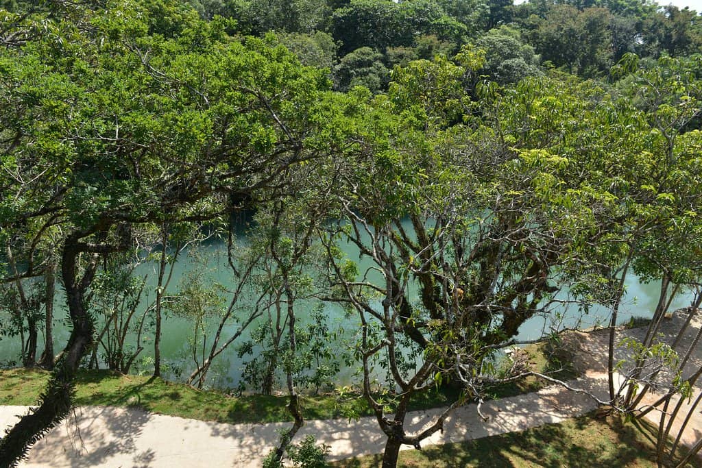 Nature Trails & Springs