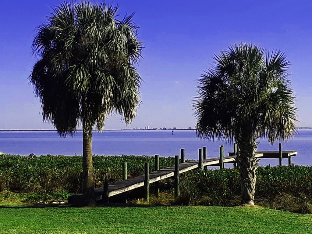 Tampa Skyline from the trail