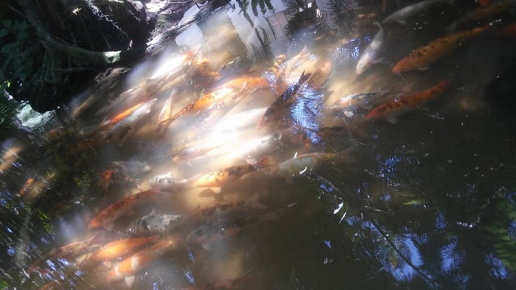 Third hero image