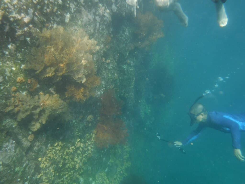 Challenging Waterfall Hike