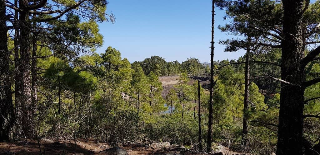 Mirador Llanos de la Mimbre