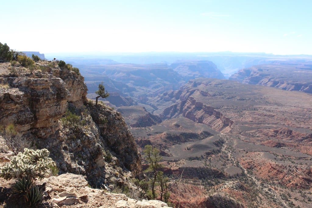 遠くにグランドキャニオンウエストが見えます