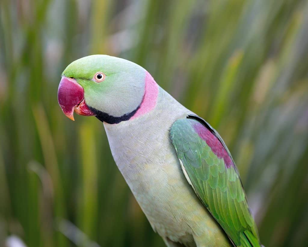 Stunning Botanic Gardens