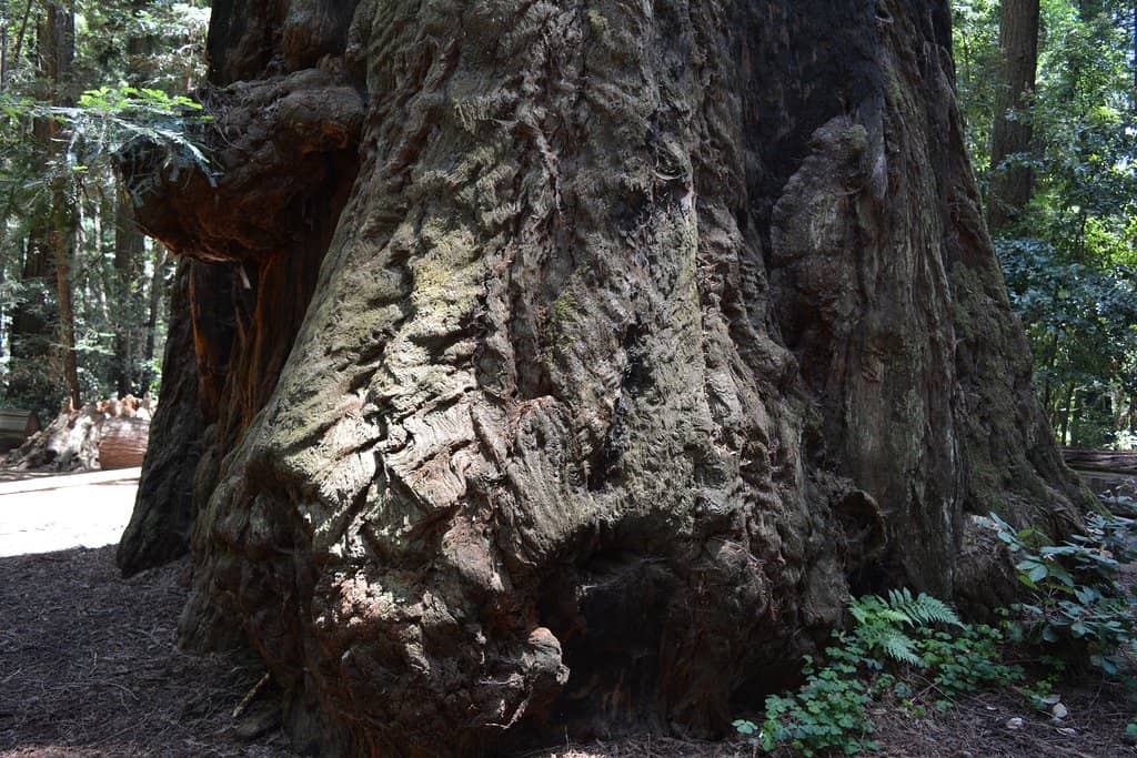 River Trail & Garden of Eden