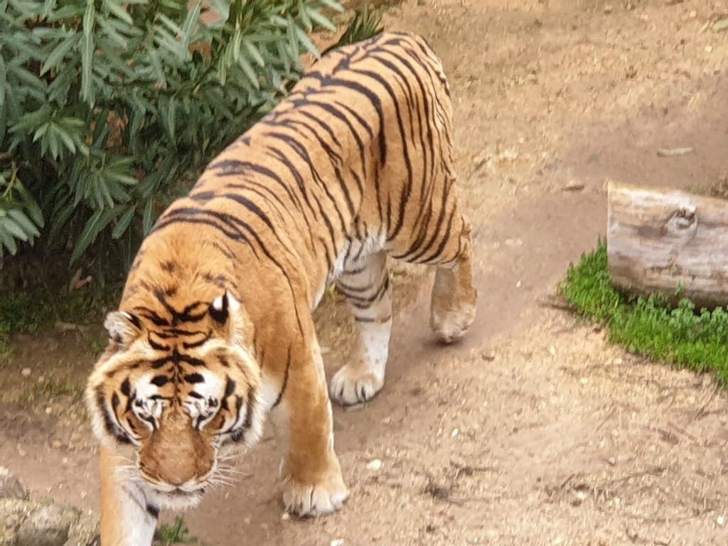 Gaziantep Zoo