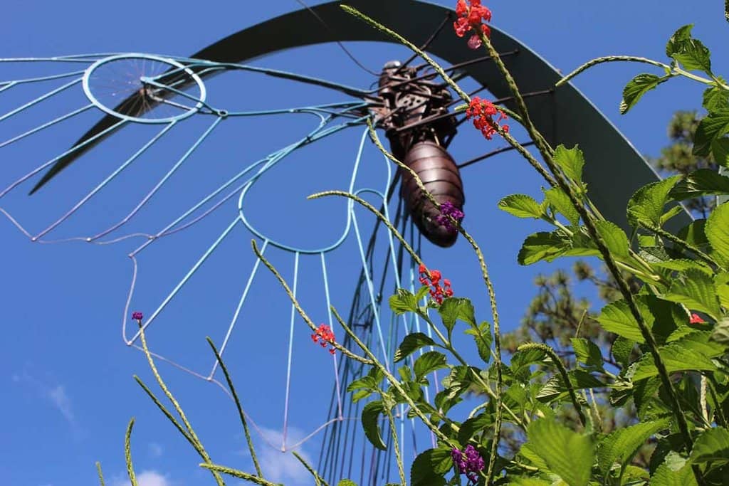 Herb Garden