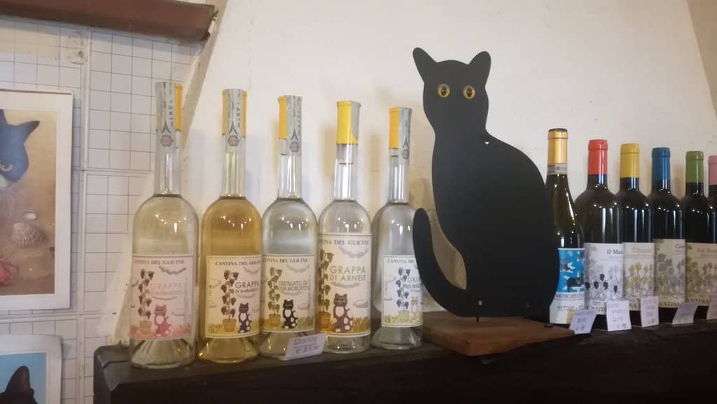 Barbaresco Wine Tasting