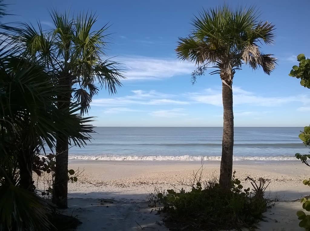 Abundant Wildlife Sightings