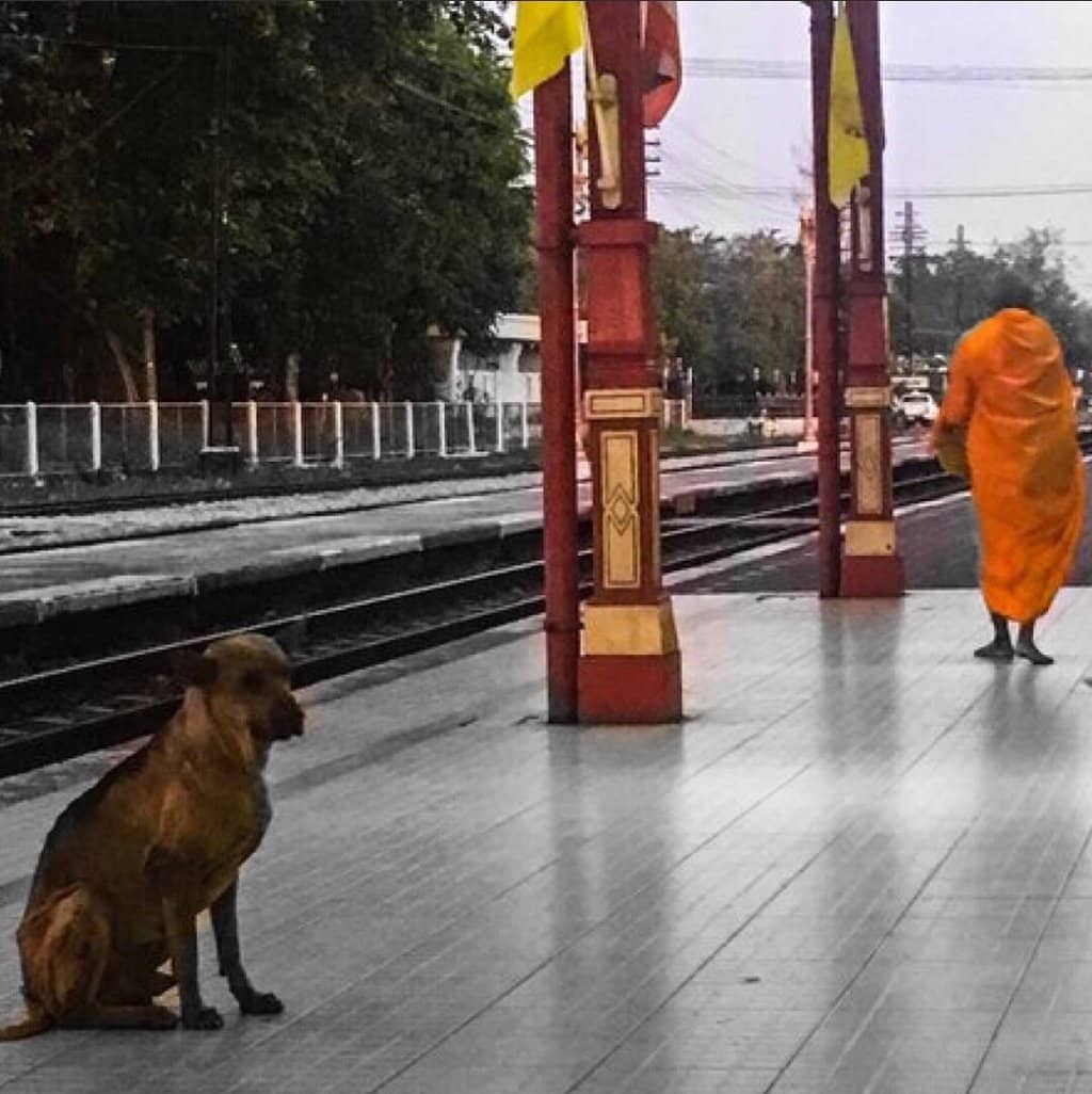 Colonial Architecture