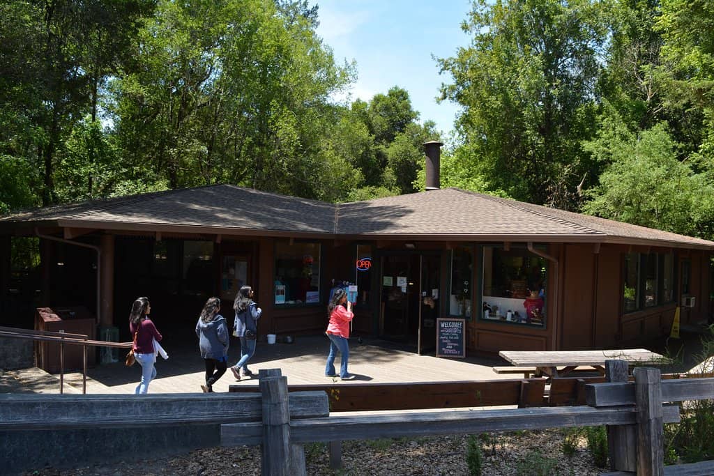 Redwood Grove Loop Trail