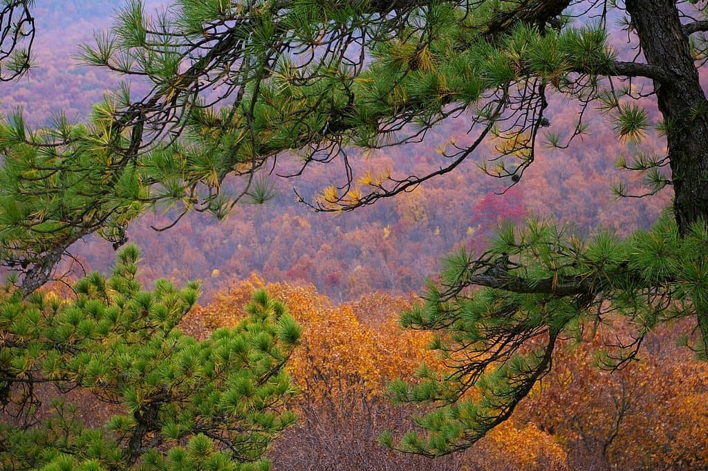 The view from the ridge to the north on a day in October.