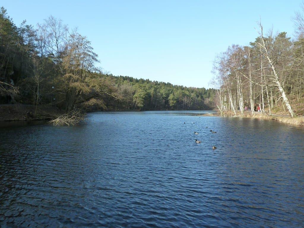 Slätta Damm i Hisingsparken i Göteborg