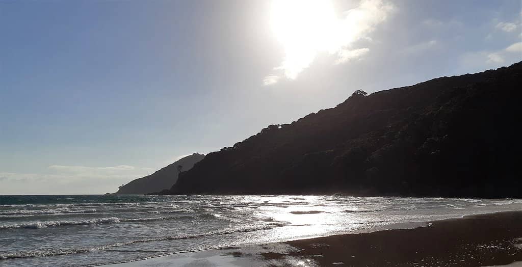 Community Gatherings