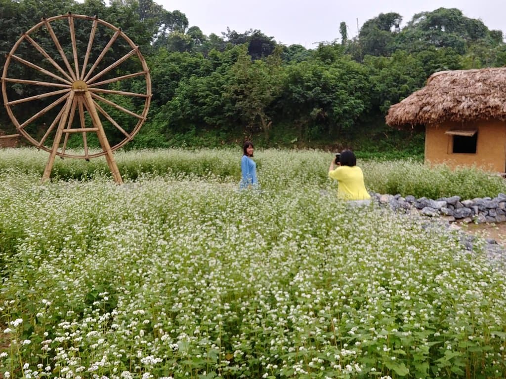 Get a taste of the local garden scene
