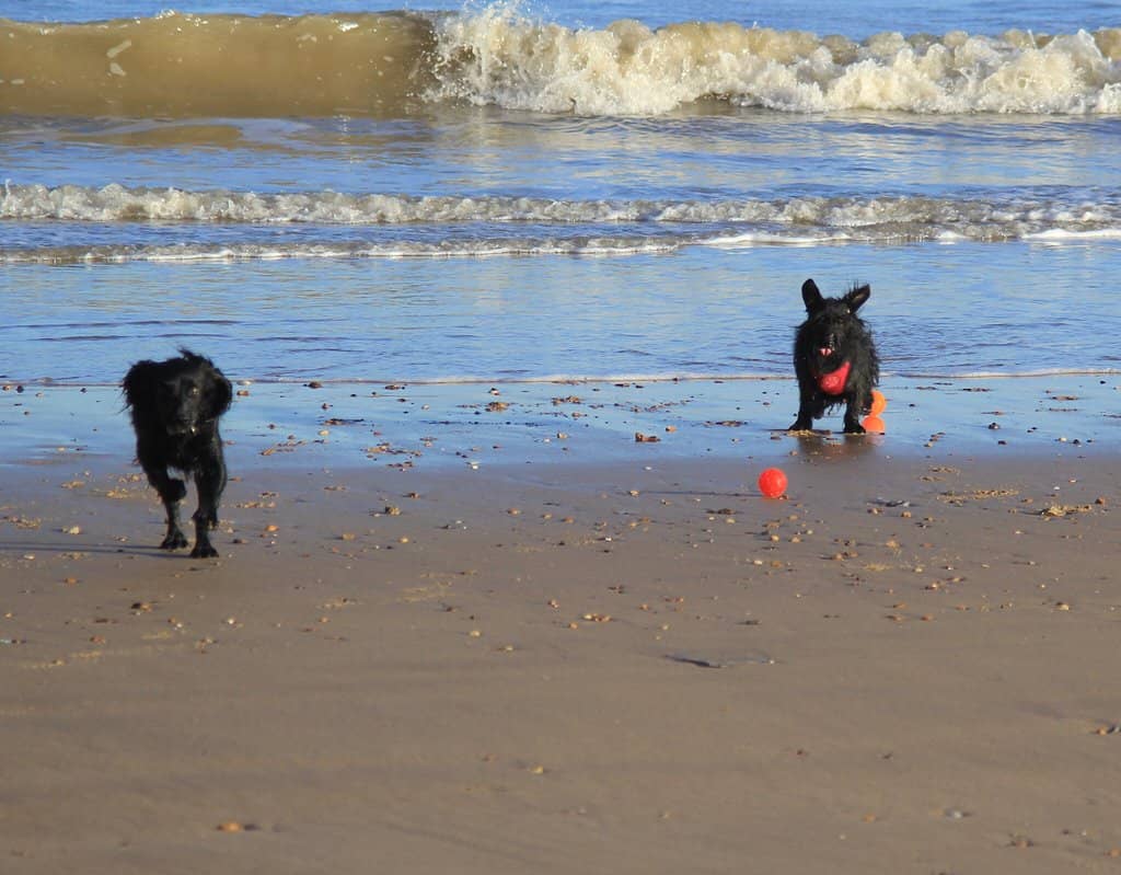 Sandy Beach