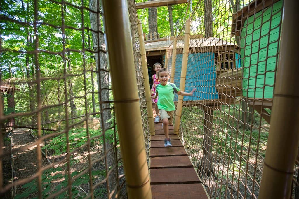 Treewalk Village