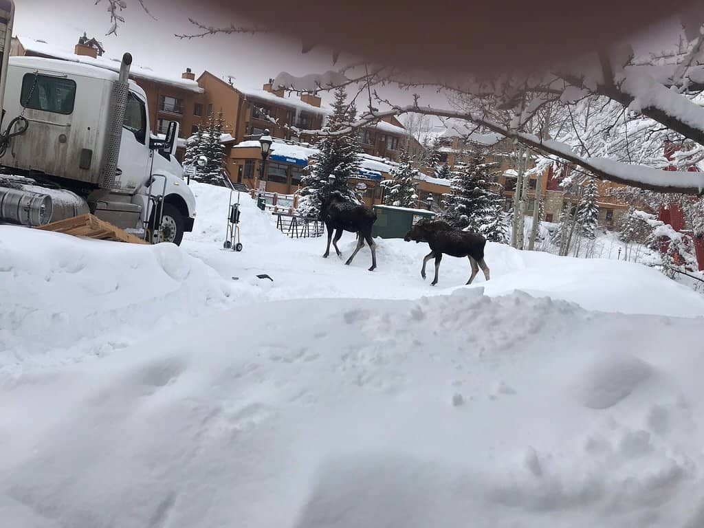 Historic Architecture