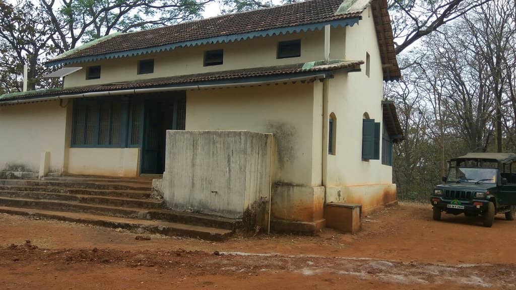 Jagara Giant Teak Tree