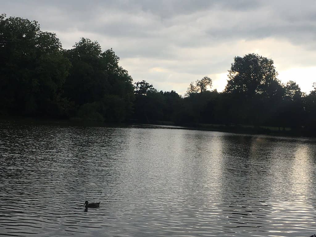 Monrepos Lakeside Palace