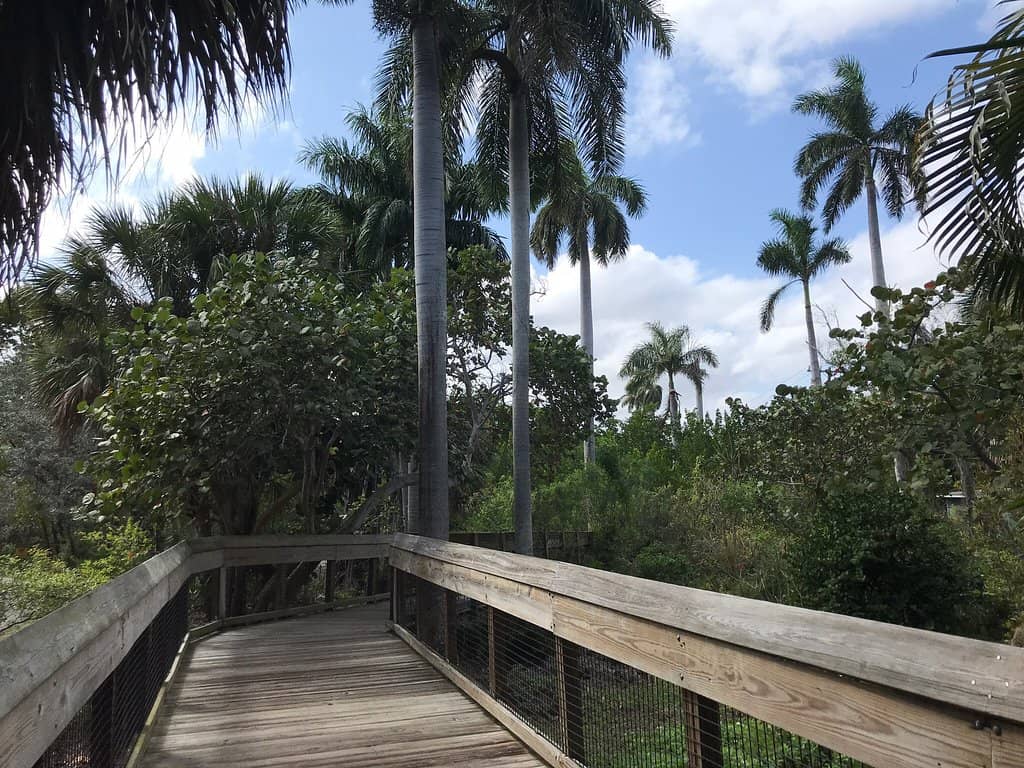 Scenic Park Loop