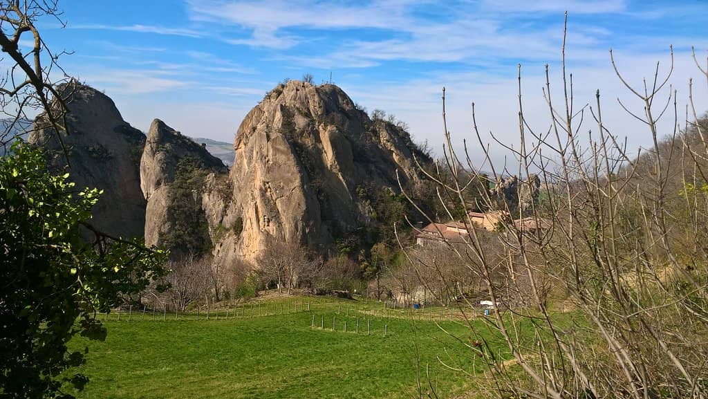 Peregrine Falcon Nests