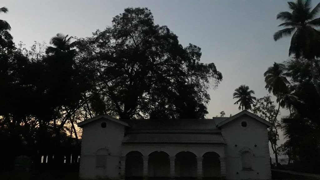 Friendly Deer and Peacocks