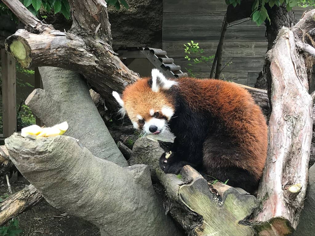 Seasonal Illuminations