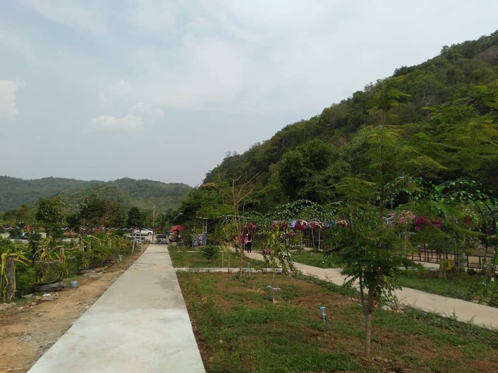 The Bamboo Train Ride