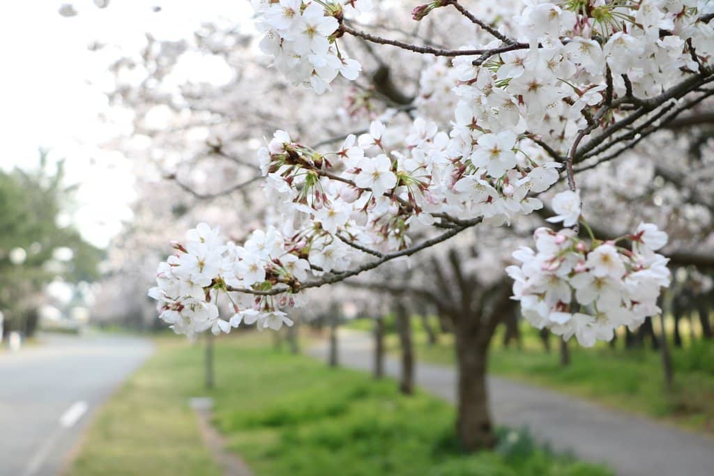 Marine World Aquarium