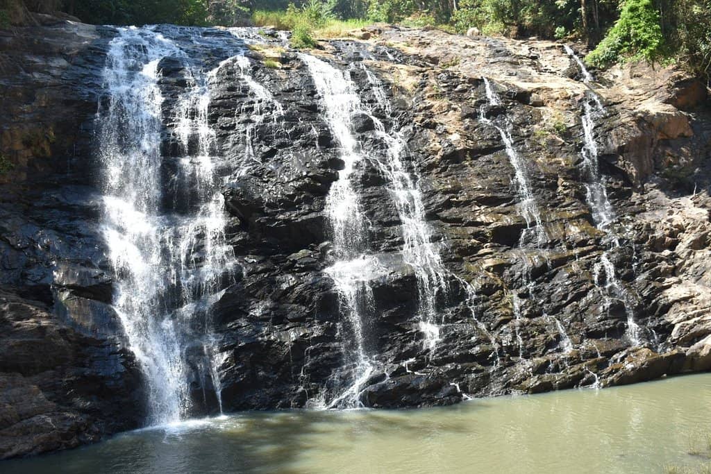 Coffee Plantation Views