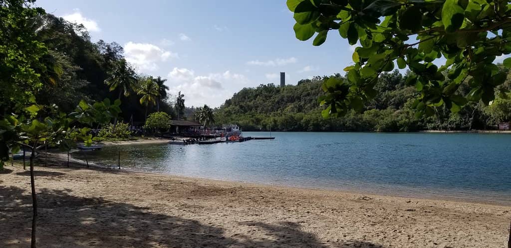 Lush Natural Scenery