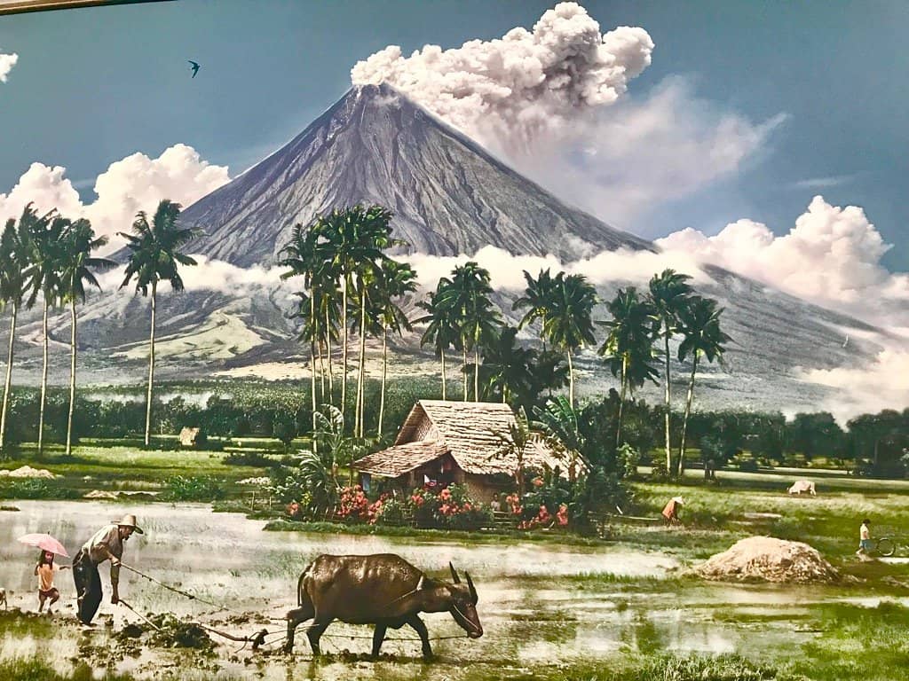 Fresh Produce & Local Goods