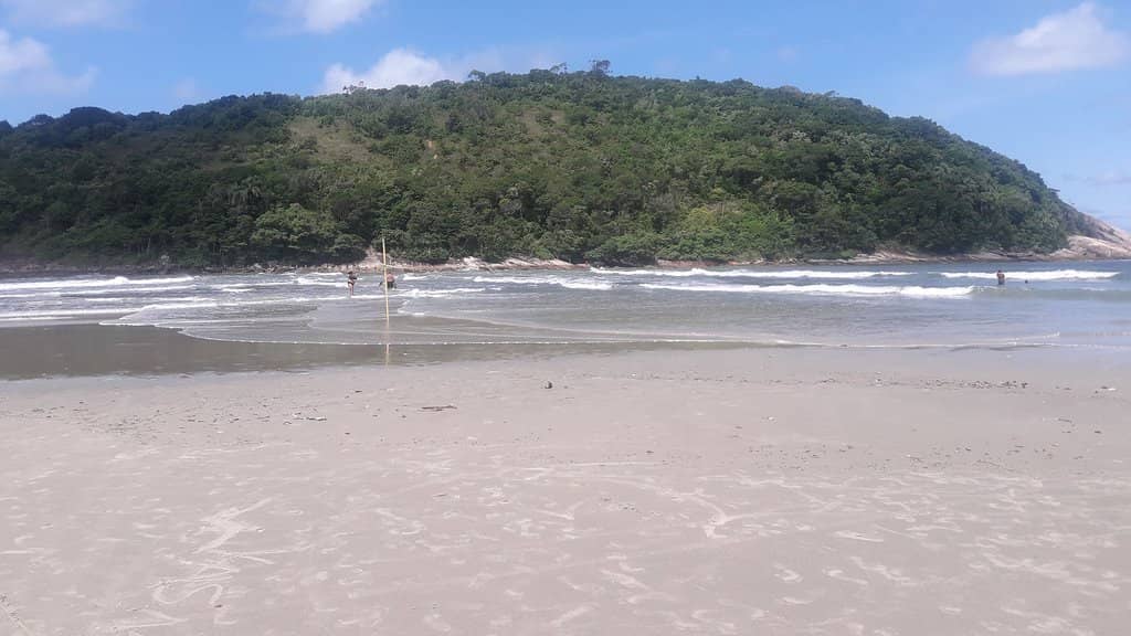 Family-Friendly Shores