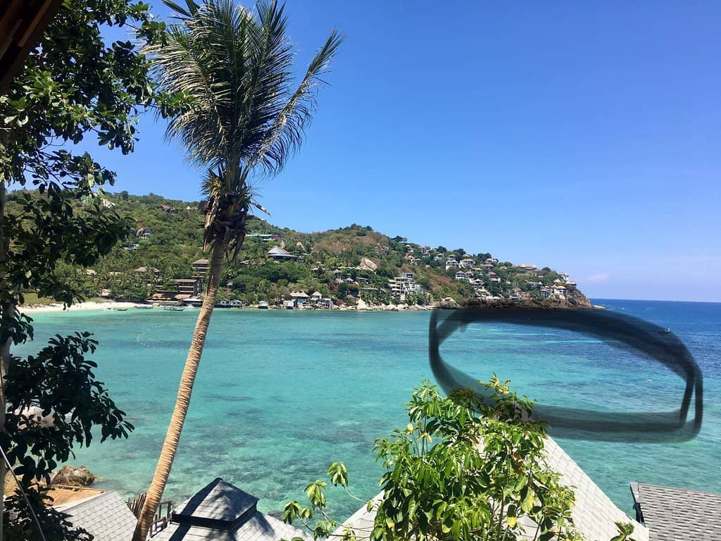 Swim with Sea Turtles