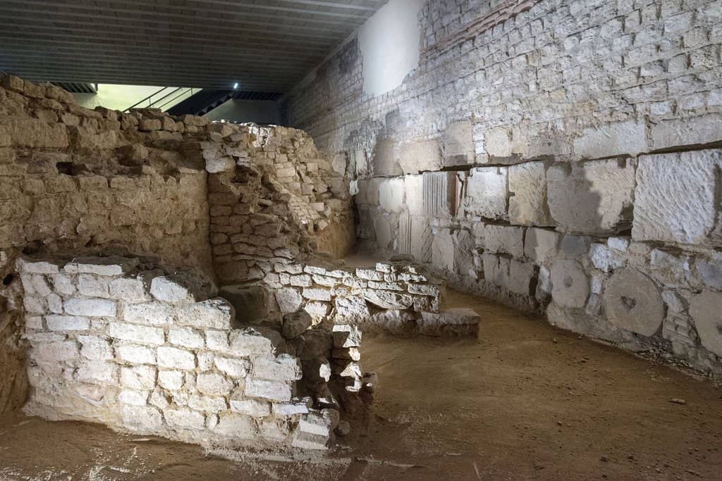 Gargoyles from Senlis Cathedral