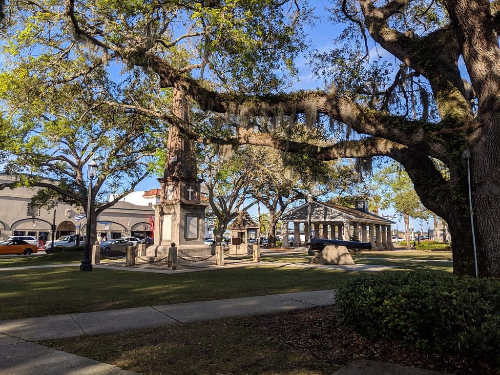 Tree with Spanish Moss